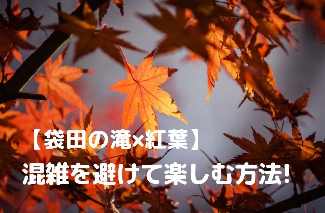 袋田の滝の紅葉の混雑を回避するには 渋滞する場所と駐車場情報 茨城観光 グルメ情報ブログ イバトリ