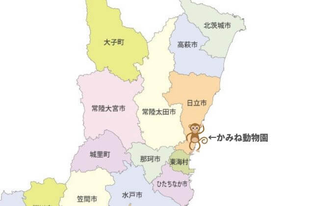 かみね動物園 夜の動物園 場所