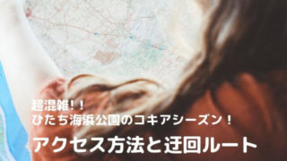 ひたち海浜公園 コキア 混雑