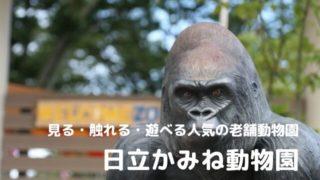 日立市 かみね動物園
