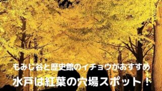 水戸 紅葉スポット 穴場