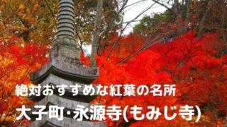 永源寺 もみじ寺 紅葉