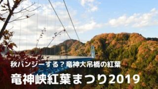 竜神大吊橋 紅葉 竜神峡紅葉まつり 2019