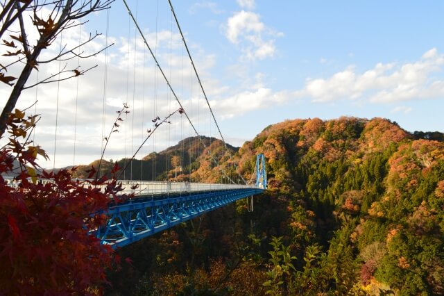 竜神大吊橋と紅葉　