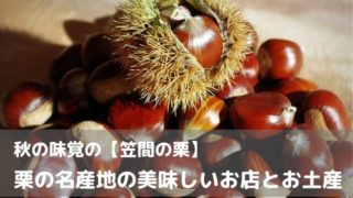 笠間市 栗 秋 名産