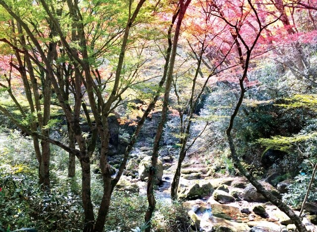 花貫渓谷 紅葉 滝 不動滝 乙女滝