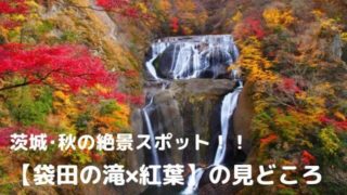 袋田の滝 紅葉 見頃