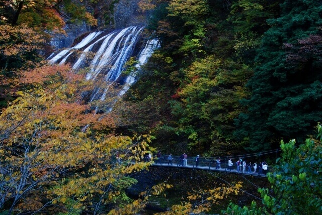 袋田の滝　吊橋　見どころ