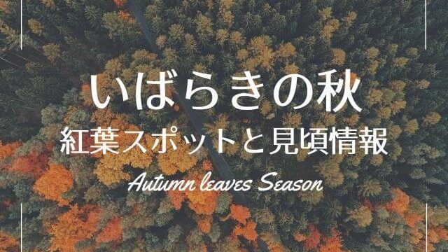 茨城の紅葉 21年の見頃情報 名所から穴場まで県民がおすすめする選 茨城観光 グルメ情報ブログ イバトリ