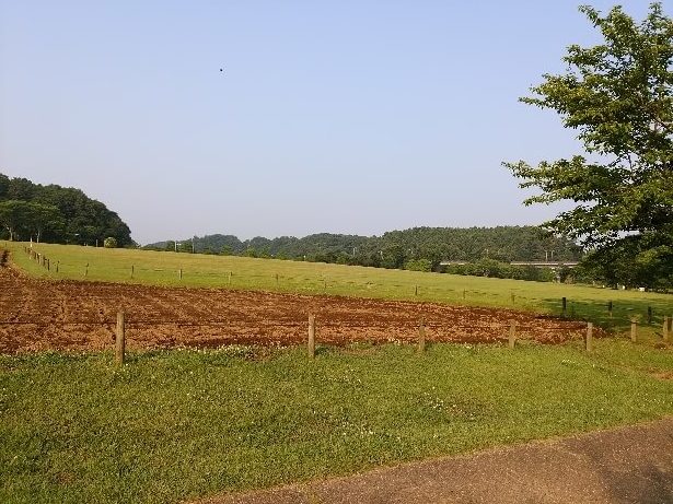 偕楽園公園 四季の原