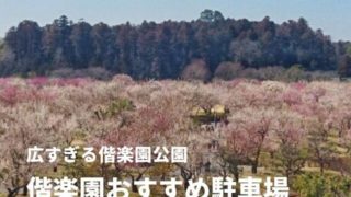 偕楽園 駐車場 ガイド