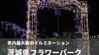 茨城 フラワーパーク イルミネーション