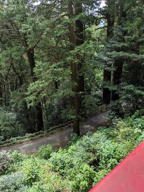 鷲子山上神社　大樹の森　天狗の足跡