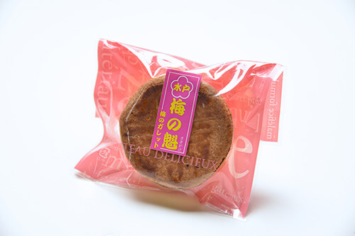 偕楽園のお土産は何が人気 梅まつりの帰りに買いたい梅のお菓子10選 茨城観光 グルメ情報ブログ イバトリ