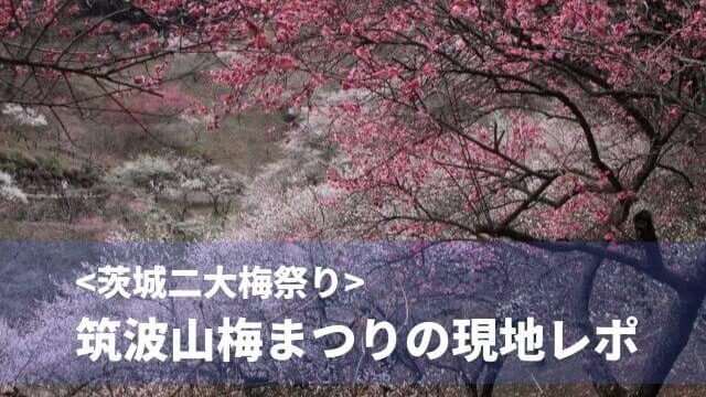 筑波山の梅まつり22年の開花状況 見頃時期や梅林を現地レポート 茨城観光 グルメ情報ブログ イバトリ