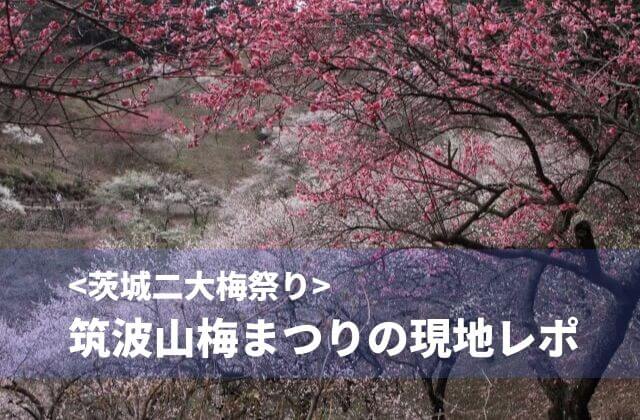 筑波山の梅まつり21年の開花状況 見頃時期や梅林を現地レポート 茨城観光 グルメ情報ブログ イバトリ