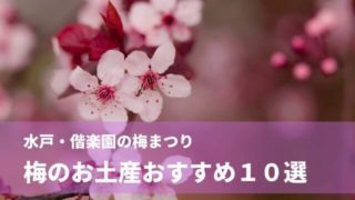 偕楽園 梅まつり お土産