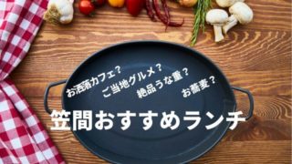 笠間ランチ おすすめ