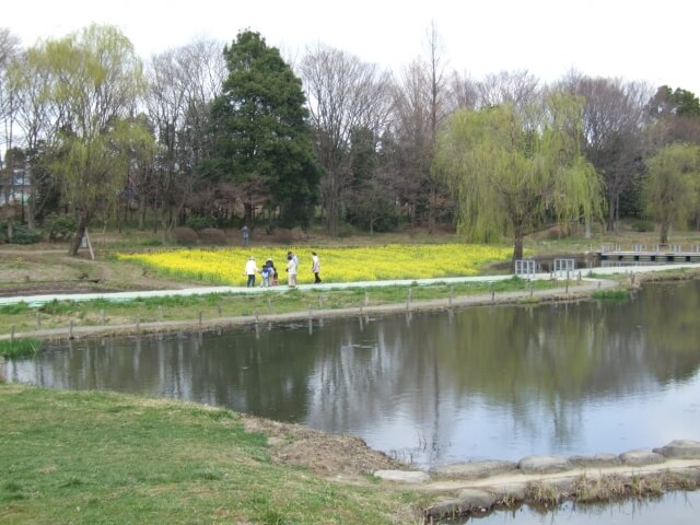 古河公方公園 古河総合公園 は蓮も見どころ アクセス 駐車場まとめ 茨城観光 グルメ情報ブログ イバトリ