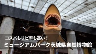 ミュージアムパーク茨城県自然博物館 クーポン 割引