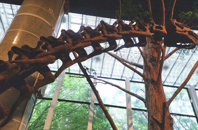ミュージアムパーク茨城県自然博物館　クーポン　割引　恐竜の全身骨格　メタセコイア