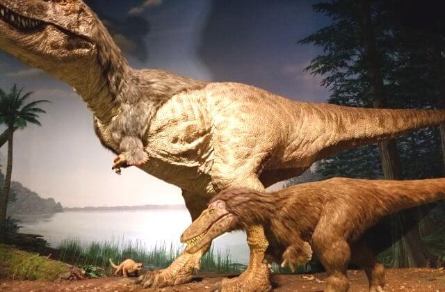 ミュージアムパーク茨城県自然博物館　クーポン　割引　恐竜エリア