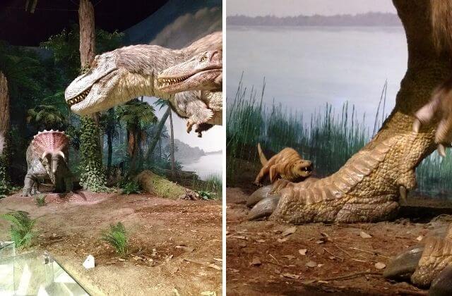 ミュージアムパーク茨城県自然博物館　クーポン　割引　恐竜エリア