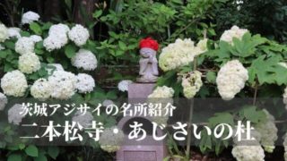 二本松寺 あじさいの杜