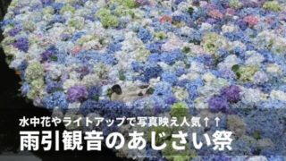 雨引観音 あじさいまつり
