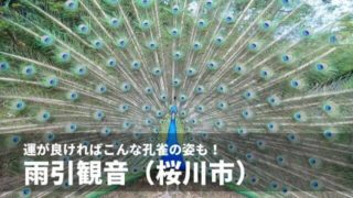雨引観音 御朱印