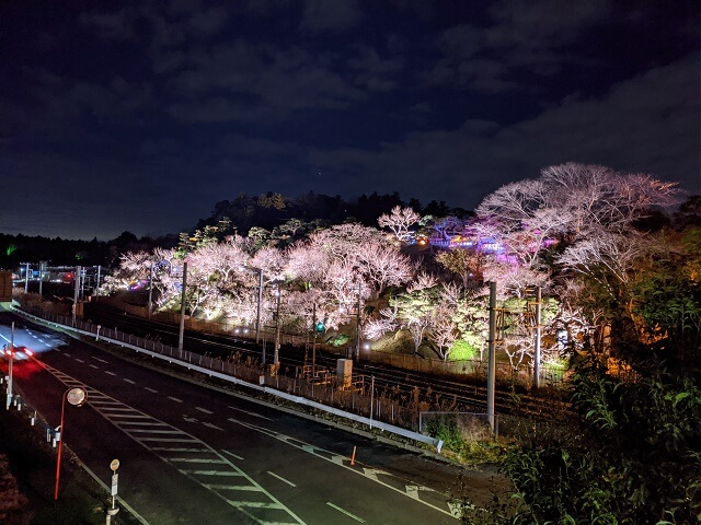 偕楽園のライトアップが毎日になった 何時までやる 夜の庭園とイベント情報 茨城観光 グルメ情報ブログ イバトリ