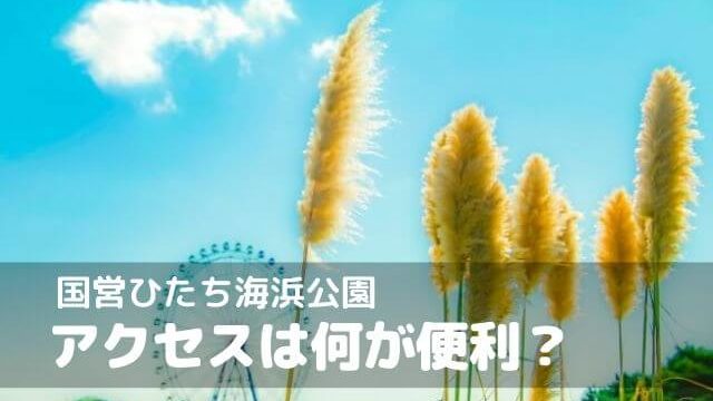 国営ひたち海浜公園へのアクセスまとめ 東京から高速バスもけっこう便利 茨城観光 グルメ情報ブログ イバトリ