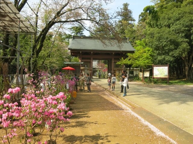 大宝八幡宮 下妻市 で宝くじ当選が続出 金運アップの最強のご利益とは 地元民による茨城観光 グルメ情報ブログ イバトリ