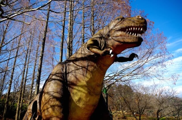 水戸　観光　子供　水戸市森林公園　恐竜