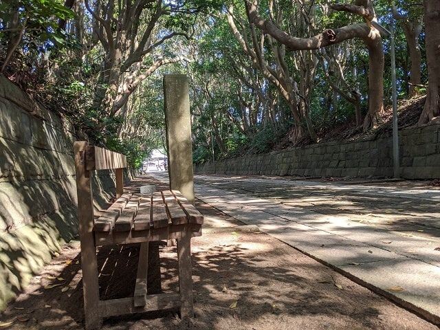 酒列磯前神社の樹叢　ベンチ　参道　