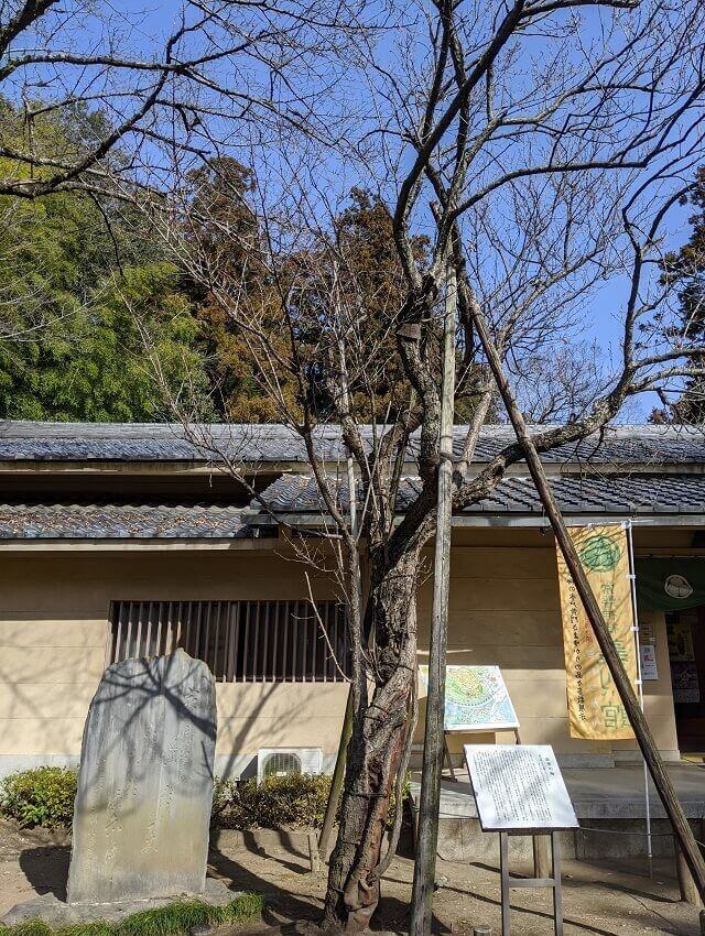 常磐神社の御朱印は徳川家の家紋入り 歴史に影響を与えた2人が祀られる水戸の神社 茨城観光 グルメ情報ブログ イバトリ