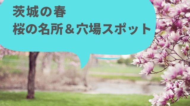 茨城の桜の名所から穴場のお花見スポット42選 開花状況も更新中 茨城観光 グルメ情報ブログ イバトリ