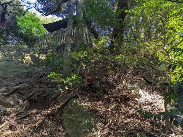 大甕神社　御本殿　裏