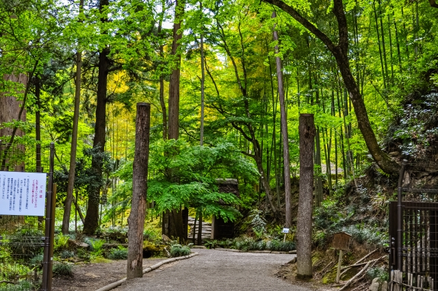 西山荘　西山御殿　くぬぎ門