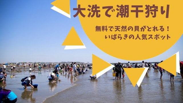 潮干狩りは大洗が人気 22年も無料で天然のハマグリが採れる 茨城観光 グルメ情報ブログ イバトリ
