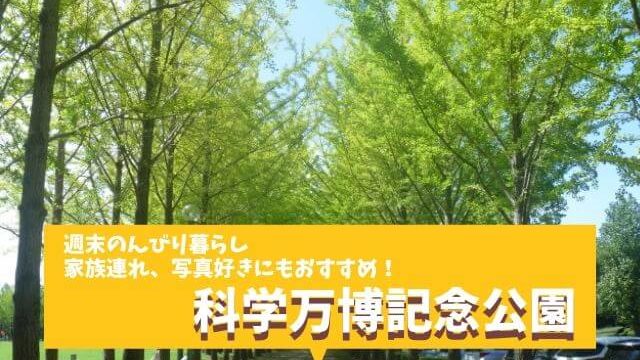 科学万博記念公園 つくばの紅葉と言えばココの銀杏並木が人気 駐車場と園内情報 茨城観光 グルメ情報ブログ イバトリ
