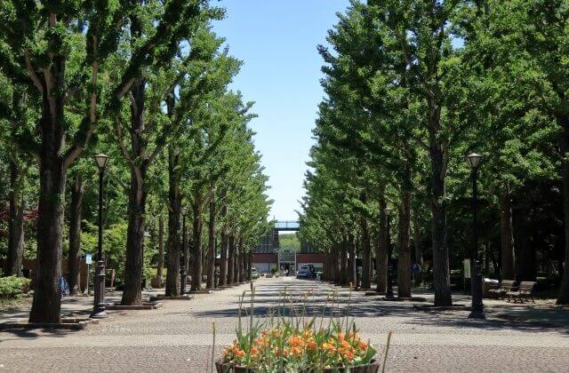 茨城県　つくば市　観光　おすすめ　洞峰公園