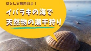 潮干狩り 茨城 人気 穴場
