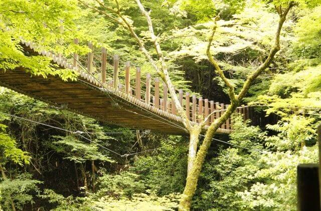 小滝沢キャンプ場　花貫渓谷の散策　吊橋の下