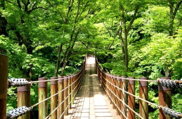 小滝沢キャンプ場　吊橋