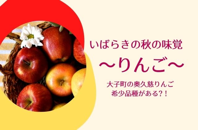 奥久慈りんご 大子町でりんご狩り 希少品種の こうとく が食べられる 茨城観光 グルメ情報ブログ イバトリ