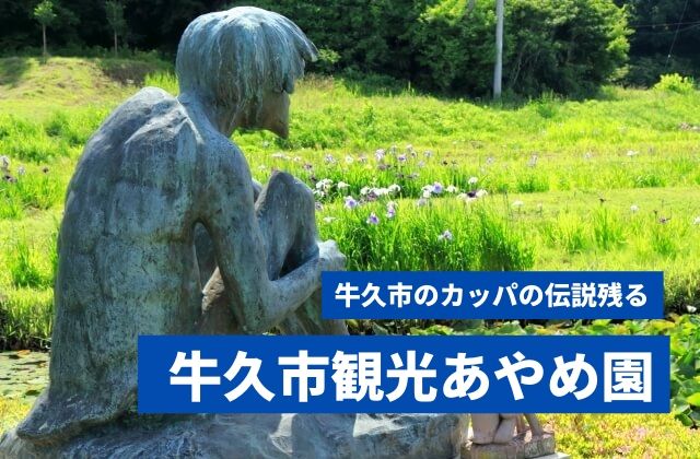 牛久市観光アヤメ園 21年の菖蒲の見頃と見どころ 河童の伝説 茨城観光 グルメ情報ブログ イバトリ