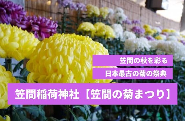 笠間の菊まつり21年情報 駐車場 周辺のおすすめ観光スポットも紹介 茨城観光 グルメ情報ブログ イバトリ