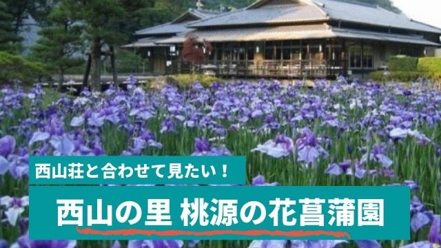 西山の里 桃源 花菖蒲まつり時期もおすすめ 常陸太田市へドライブ 茨城観光 グルメ情報ブログ イバトリ