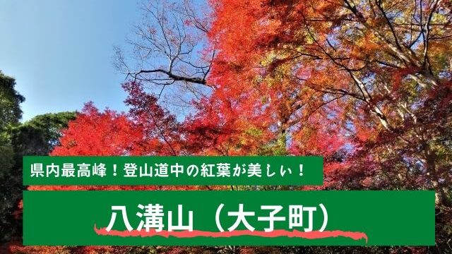 偕楽園の紅葉 もみじ谷と歴史館がおすすめ 水戸は紅葉の穴場スポット 茨城観光 グルメ情報ブログ イバトリ